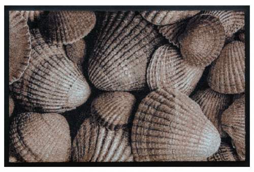 Fußmatte Braune Muscheln